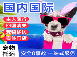 扬州泰州机场托运国际宠物托运 【国
